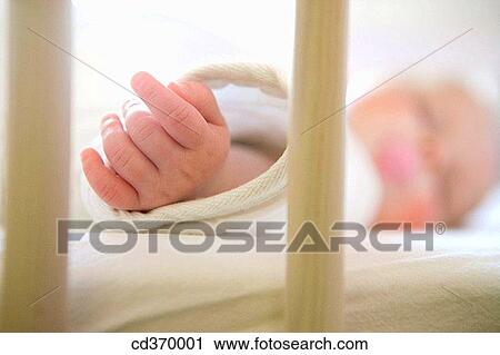 baby, bar, child, contemporary, cradle View Large Photo Image Stock Image - baby, bar, child, contemporary, cradle. Fotosearch