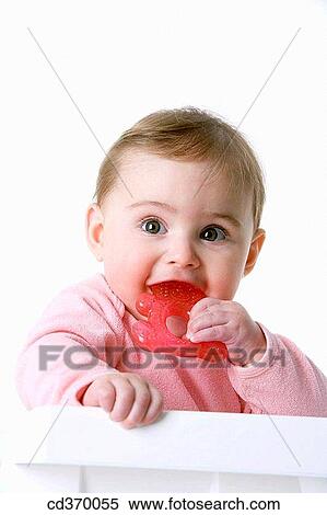 baby, bite, biting, child, childhood View Large Photo Image Stock Photography - baby, bite, biting, child, childhood. Fotosearch