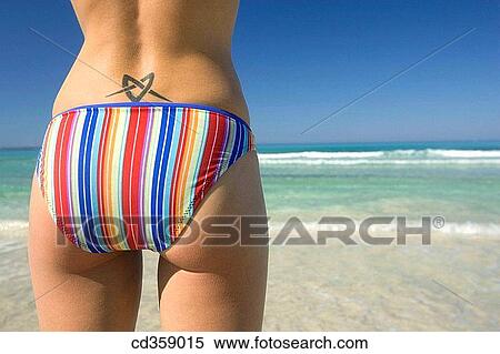back view, beach, coast View Large Photo Image Stock Photography - back view, beach, coast. Fotosearch