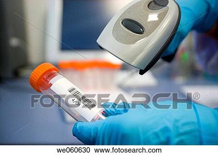 Bar code reader, biopharmaceutical lab, development of new therapeutic molecules based on human antibodies for the treatment of infectious and inflammatory diseases, Biotherapix, Grupo Genetrix, Madrid View Large Photo Image Stock Image - Bar code reader, biopharmaceutical lab, development of new therapeutic molecules based on human antibodies for the treatment of infectious and inflammatory diseases, Biotherapix, Grupo Genetrix, Madrid. Fotosearch
