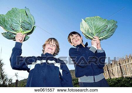 big, child, cabbage, boy, agriculture View Large Photo Image Stock Photo - big, child, cabbage, boy, agriculture. Fotosearch