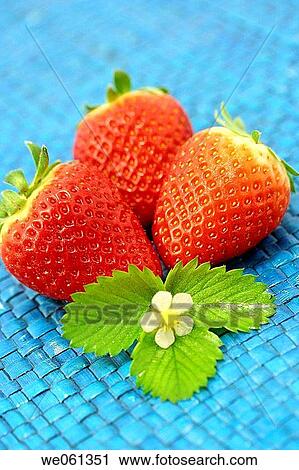 Stock Image - biological, appetizing, berry, beneficial, basic, antioxidant. Fotosearch