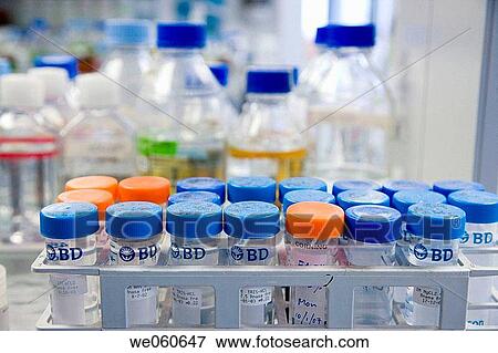 Biopharmaceutical lab, development and production of innovative drugs using adult stem cells, Cellerix, Grupo Genetrix, Madrid View Large Photo Image Stock Photo - Biopharmaceutical lab, development and production of innovative drugs using adult stem cells, Cellerix, Grupo Genetrix, Madrid. Fotosearch