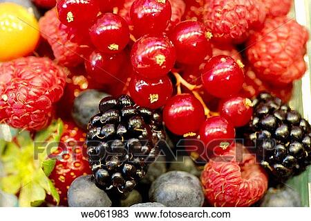 Blackberries, redcurrants, strawberries, raspberries at La Boqueria market, Barcelona. Catalonia, Spain View Large Photo Image Stock Image - Blackberries, redcurrants, strawberries, raspberries at La Boqueria market, Barcelona. Catalonia, Spain. Fotosearch