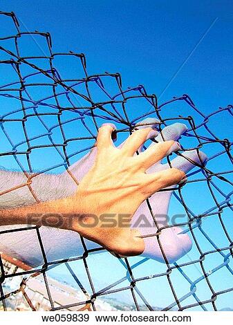 Stock Photo - blue, blue sky, catch, Chainlink fence. Fotosearch