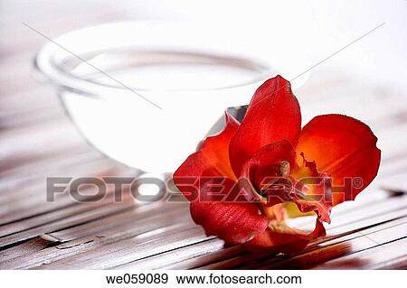 Body care, concept, Close-up, bowl, allegory View Large Photo Image Stock Photo - Body care, concept, Close-up, bowl, allegory. Fotosearch