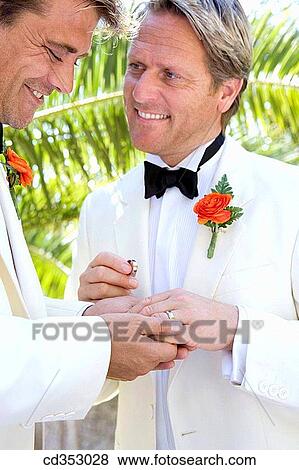 bond, bonding, bridegroom, ceremony View Large Photo Image Stock Photo - bond, bonding, bridegroom, ceremony. Fotosearch