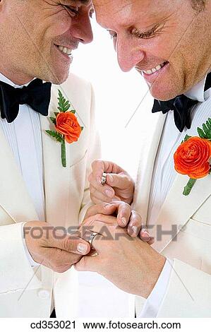 bond, bridegroom, bonding, affection View Large Photo Image Stock Image - bond, bridegroom, bonding, affection. Fotosearch