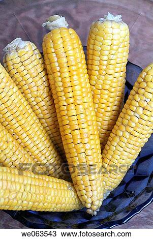 bowl, cereals, Close-up, cob, Corn View Large Photo Image Stock Image - bowl, cereals, Close-up, cob, Corn. Fotosearch