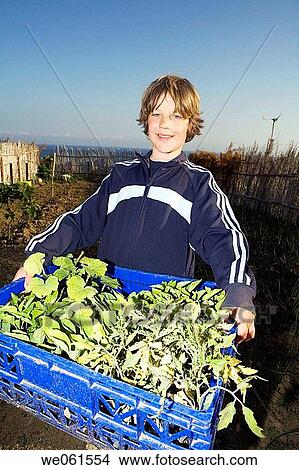 boy, carrying, carry, agriculture View Large Photo Image Picture - boy, carrying, carry, agriculture. Fotosearch
