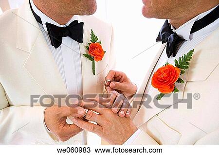 bridegroom, celebrate, celebration, ceremony View Large Photo Image Stock Image - bridegroom, celebrate, celebration, ceremony. Fotosearch