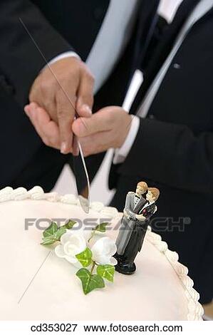 bridegroom, celebrate, celebration, contemporary View Large Photo Image Stock Photo - bridegroom, celebrate, celebration, contemporary. Fotosearch