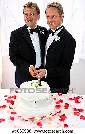 bridegroom, celebrate, celebration View Large Photo Image Stock Photo - bridegroom, celebrate, celebration. Fotosearch