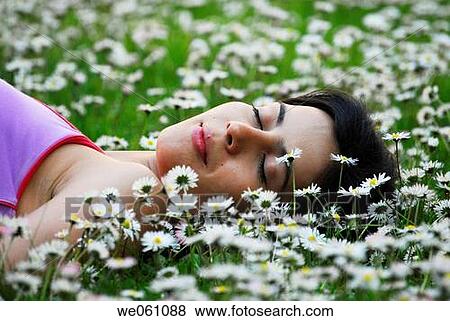 brunette, calm, chilling out, chrysanthemum View Large Photo Image Stock Photo - brunette, calm, chilling out, chrysanthemum. Fotosearch