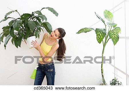 brunette, carrying, carry, at-home View Large Photo Image Stock Image - brunette, carrying, carry, at-home. Fotosearch