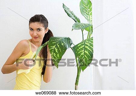 Stock Photo - brunette, cloth, at-home. Fotosearch