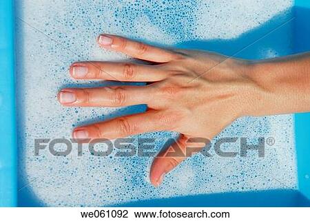 bucket, clean, cleaning, Close-up, contemporary View Large Photo Image Stock Image - bucket, clean, cleaning, Close-up, contemporary. Fotosearch