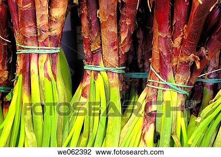 ? Cal? ots? at La Boqueria market, Barcelona. Catalonia, Spain View Large Photo Image Stock Image - ? Cal? ots? at La Boqueria market, Barcelona. Catalonia, Spain. Fotosearch