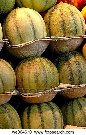 Cantaloupe melons at La Boqueria market, Barcelona. Catalonia, Spain View Large Photo Image Stock Image - Cantaloupe melons at La Boqueria market, Barcelona. Catalonia, Spain. Fotosearch