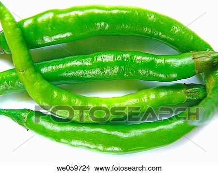 Capsicum annuum _ Common Chili. Common vegetable. View Large Photo Image Picture - Capsicum annuum _ Common Chili. Common vegetable.. Fotosearch