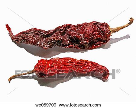 Capsicum annuum _ Common Chili. Dry, red chilies are spread in sunlight for drying properly. After drying powder is made by grinding and used as a hot spice in Indian food. Pune, Maharashtra, India. View Large Photo Image Stock Photo - Capsicum annuum _ Common Chili. Dry, red chilies are spread in sunlight for drying properly. After drying powder is made by grinding and used as a hot spice in Indian food. Pune, Maharashtra, India.. Fotosearch