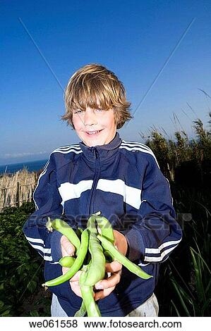 carrying, bean, carry, boy, blue eyes, agriculture View Large Photo Image Stock Photo - carrying, bean, carry, boy, blue eyes, agriculture. Fotosearch