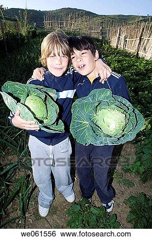 carrying, black hair, carry, cabbage, boy, agriculture View Large Photo Image Stock Photograph - carrying, black hair, carry, cabbage, boy, agriculture. Fotosearch