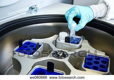 Centrifuge, culture room, biopharmaceutical lab, development of new therapeutic molecules based on human antibodies for the treatment of infectious and inflammatory diseases, Biotherapix, Grupo Genetrix, Madrid View Large Photo Image Stock Photograph - Centrifuge, culture room, biopharmaceutical lab, development of new therapeutic molecules based on human antibodies for the treatment of infectious and inflammatory diseases, Biotherapix, Grupo Genetrix, Madrid. Fotosearch