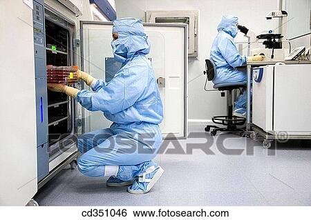 Clean room, culture conservation in incubators, biopharmaceutical lab, development and production of innovative drugs using adult stem cells, Cellerix, Grupo Genetrix, Madrid View Large Photo Image Stock Photograph - Clean room, culture conservation in incubators, biopharmaceutical lab, development and production of innovative drugs using adult stem cells, Cellerix, Grupo Genetrix, Madrid. Fotosearch