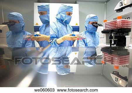 Clean room, culture observation through the microscope, biopharmaceutical lab, development and production of innovative drugs using adult stem cells, Cellerix, Grupo Genetrix, Madrid View Large Photo Image Stock Image - Clean room, culture observation through the microscope, biopharmaceutical lab, development and production of innovative drugs using adult stem cells, Cellerix, Grupo Genetrix, Madrid. Fotosearch