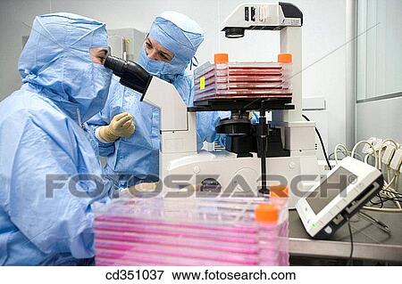 Clean room, culture observation through the microscope, biopharmaceutical lab, development and production of innovative drugs using adult stem cells, Cellerix, Grupo Genetrix, Madrid View Large Photo Image Stock Photo - Clean room, culture observation through the microscope, biopharmaceutical lab, development and production of innovative drugs using adult stem cells, Cellerix, Grupo Genetrix, Madrid. Fotosearch