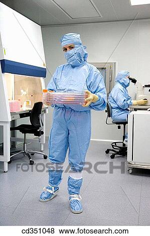 Clean room, cultures, biopharmaceutical lab, development and production of innovative drugs using adult stem cells, Cellerix, Grupo Genetrix, Madrid View Large Photo Image Stock Photo - Clean room, cultures, biopharmaceutical lab, development and production of innovative drugs using adult stem cells, Cellerix, Grupo Genetrix, Madrid. Fotosearch