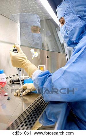Stock Image - Clean room, manipulating samples with pipette, laminar flow cabinet, biopharmaceutical lab, development and production of innovative drugs using adult stem cells, Cellerix, Grupo Genetrix, Madrid. Fotosearch