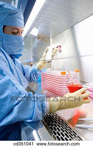 Clean room, preparing cultures in laminar flow cabinet, DMEM (Dulbeco's Modified Eagle's Medium), biopharmaceutical lab, development and production of innovative drugs using adult stem cells, Cellerix, Grupo Genetrix, Madrid View Large Photo Image Stock Image - Clean room, preparing cultures in laminar flow cabinet, DMEM (Dulbeco's Modified Eagle's Medium), biopharmaceutical lab, development and production of innovative drugs using adult stem cells, Cellerix, Grupo Genetrix, Madrid. Fotosearch