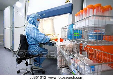Stock Image - Clean room, preparing DMEM (Dulbeco's Modified Eagle's Medium) in laminar flow cabinet, biopharmaceutical lab, development and production of innovative drugs using adult stem cells, Cellerix, Grupo Genetrix, Madrid. Fotosearch