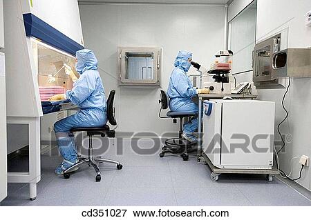 Clean room, preparing DMEM in laminar flow cabinet and culture observation through the microscope, biopharmaceutical lab, development and production of innovative drugs using adult stem cells, Cellerix, Grupo Genetrix, Madrid View Large Photo Image Stock Photo - Clean room, preparing DMEM in laminar flow cabinet and culture observation through the microscope, biopharmaceutical lab, development and production of innovative drugs using adult stem cells, Cellerix, Grupo Genetrix, Madrid. Fotosearch