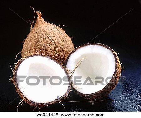 Coconut View Large Photo Image Stock Photography - Coconut. Fotosearch