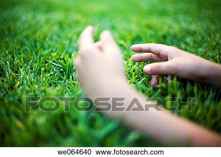 contemporary, day, detail, grass, green View Large Photo Image Stock Image - contemporary, day, detail, grass, green. Fotosearch