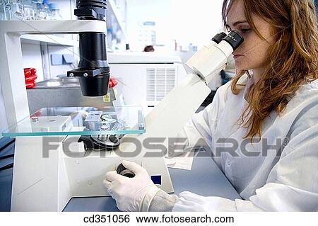 Counting cells, Neubauer chamber, culture room, biopharmaceutical lab, development and production of innovative drugs using adult stem cells, Cellerix, Grupo Genetrix, Madrid View Large Photo Image Stock Photograph - Counting cells, Neubauer chamber, culture room, biopharmaceutical lab, development and production of innovative drugs using adult stem cells, Cellerix, Grupo Genetrix, Madrid. Fotosearch