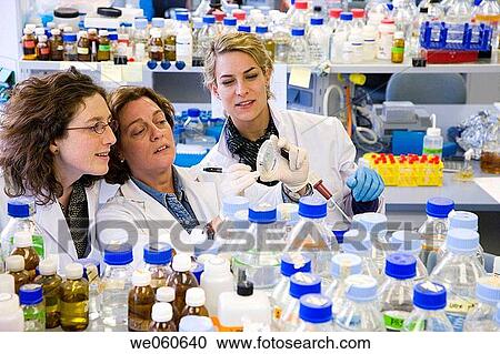 Counting colonies, R+D department, biopharmaceutical lab, development and production of innovative drugs using adult stem cells, Cellerix, Grupo Genetrix, Madrid View Large Photo Image Stock Image - Counting colonies, R+D department, biopharmaceutical lab, development and production of innovative drugs using adult stem cells, Cellerix, Grupo Genetrix, Madrid. Fotosearch