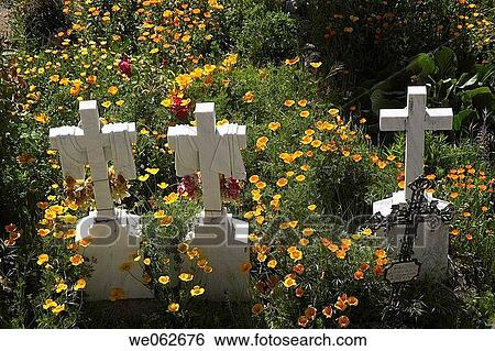 Crosses in cemetery View Large Photo Image Stock Photograph - Crosses in cemetery. Fotosearch