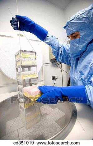 Cryonics, cryopreservation of samples in nitrogen, biopharmaceutical lab, development and production of innovative drugs using adult stem cells, Cellerix, Grupo Genetrix, Madrid View Large Photo Image Stock Photo - Cryonics, cryopreservation of samples in nitrogen, biopharmaceutical lab, development and production of innovative drugs using adult stem cells, Cellerix, Grupo Genetrix, Madrid. Fotosearch