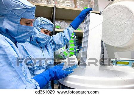 Cryonics, cryopreservation of samples in nitrogen, biopharmaceutical lab, development and production of innovative drugs using adult stem cells, Cellerix, Grupo Genetrix, Madrid View Large Photo Image Stock Photo - Cryonics, cryopreservation of samples in nitrogen, biopharmaceutical lab, development and production of innovative drugs using adult stem cells, Cellerix, Grupo Genetrix, Madrid. Fotosearch