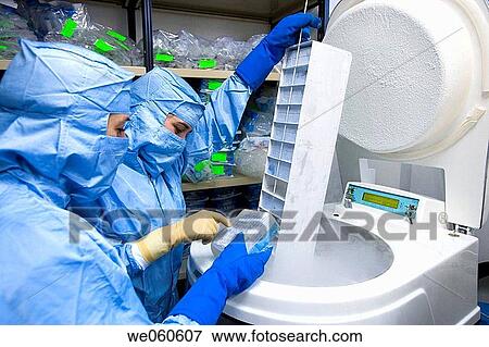 Cryonics, cryopreservation of samples in nitrogen, biopharmaceutical lab, development and production of innovative drugs using adult stem cells, Cellerix, Grupo Genetrix, Madrid View Large Photo Image Stock Photo - Cryonics, cryopreservation of samples in nitrogen, biopharmaceutical lab, development and production of innovative drugs using adult stem cells, Cellerix, Grupo Genetrix, Madrid. Fotosearch