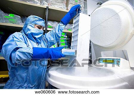 Cryonics, cryopreservation of samples in nitrogen, biopharmaceutical lab, development and production of innovative drugs using adult stem cells, Cellerix, Grupo Genetrix, Madrid View Large Photo Image Stock Photograph - Cryonics, cryopreservation of samples in nitrogen, biopharmaceutical lab, development and production of innovative drugs using adult stem cells, Cellerix, Grupo Genetrix, Madrid. Fotosearch
