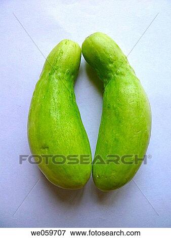 Cucumbers. Cucumis sativus, Pune, Maharashtra, India. View Large Photo Image Stock Photo - Cucumbers. Cucumis sativus, Pune, Maharashtra, India.. Fotosearch
