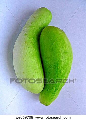 Cucumbers. Cucumis sativus, Pune, Maharashtra, India. View Large Photo Image Stock Photo - Cucumbers. Cucumis sativus, Pune, Maharashtra, India.. Fotosearch