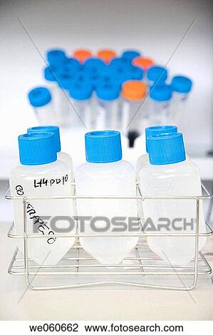 Culture room, biopharmaceutical lab, development of new therapeutic molecules based on human antibodies for the treatment of infectious and inflammatory diseases, Biotherapix, Grupo Genetrix, Madrid View Large Photo Image Stock Image - Culture room, biopharmaceutical lab, development of new therapeutic molecules based on human antibodies for the treatment of infectious and inflammatory diseases, Biotherapix, Grupo Genetrix, Madrid. Fotosearch