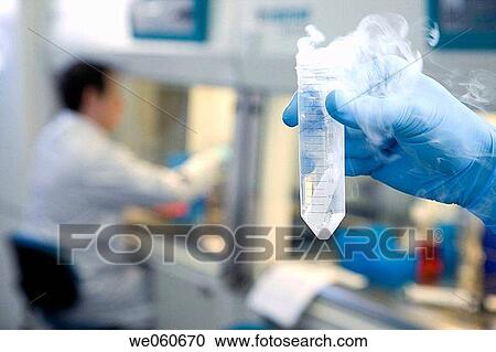 Dry ice for sample freezing, culture room, biopharmaceutical lab, development of new therapeutic molecules based on human antibodies for the treatment of infectious and inflammatory diseases, Biotherapix, Grupo Genetrix, Madrid View Large Photo Image Stock Image - Dry ice for sample freezing, culture room, biopharmaceutical lab, development of new therapeutic molecules based on human antibodies for the treatment of infectious and inflammatory diseases, Biotherapix, Grupo Genetrix, Madrid. Fotosearch