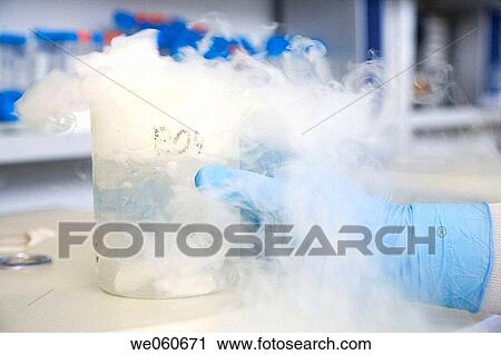 Dry ice for sample freezing, culture room, biopharmaceutical lab, development of new therapeutic molecules based on human antibodies for the treatment of infectious and inflammatory diseases, Biotherapix, Grupo Genetrix, Madrid View Large Photo Image Stock Image - Dry ice for sample freezing, culture room, biopharmaceutical lab, development of new therapeutic molecules based on human antibodies for the treatment of infectious and inflammatory diseases, Biotherapix, Grupo Genetrix, Madrid. Fotosearch